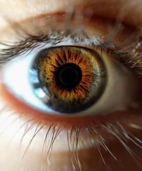 Picture of an eye close up