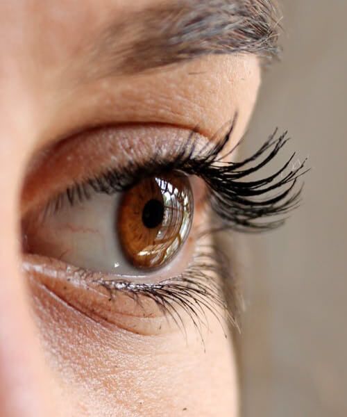 image of brown eye close up